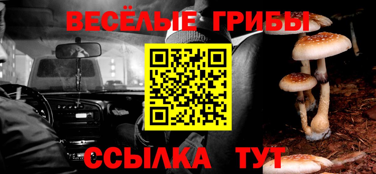 Псилоцибиновые грибы ЛСД Добрянка
