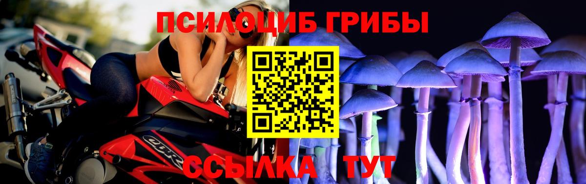 Галлюциногенные грибы MAGIC MUSHROOMS  где купить наркотик  Добрянка  Вход с VPN 